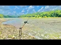 REMOTE Fishing On A Desolate River Loaded with Fish