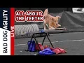 All About the Teeter