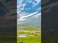 Download Lagu Reel dekho feel karo💖💕#kashmirtravel #kashmirtourism #sonmargkashmir #nature #lovesong #ytshorts