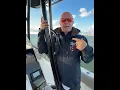 2024 SAVANNAH 2200 Center Console boat for sale in Ohio Lake Erie