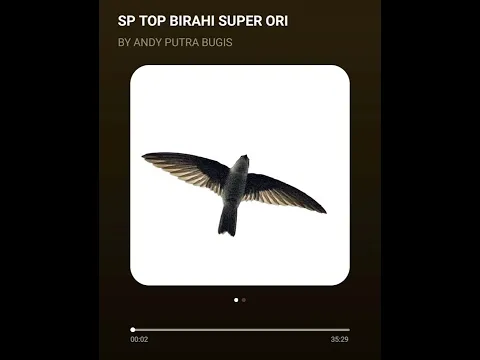 Download MP3 SP TOP BIRAHI SUPER FREE FOR YOU ALL INSYA ALLAH BERKAH BUAT SEMUA