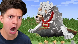 I Evolved My Dog In Minecraft!