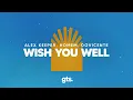 Lagu Alex Keeper, Homem, doVicente - Wish You Well (Lyrics)