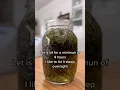 Download Lagu Recipe: Nettle and oatstraw infusion | Shanti Levina