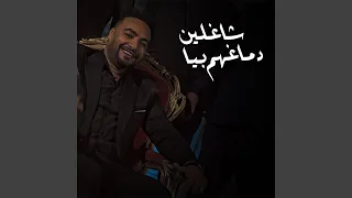 شاغلين دماغهم بيا 