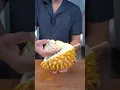 Download Lagu This Is For Durian Lovers!!!
