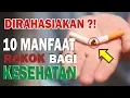 Download Lagu Rahasia !! 10 Manfaat Rokok yang Disembunyikan Para Ilmuwan \u0026 Pemerintah bagi Kesehatan