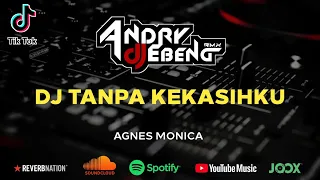 Download DJ Tanpa Kekasihku ( Agnes Monica ) Breakbeat Terbaru Fullbass MP3