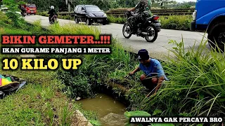 Download GILA BESARNYA.!! MANCING DI SELOKAN KECIL PINGGIR JALAN RAYA || STRIKE IKAN MONSTER SEBESAR INI BRO MP3