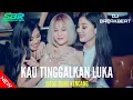 Download Lagu DJ BREAKBEAT KAU TINGGALKAN LUKA FULL BASS 2022||SBR V2