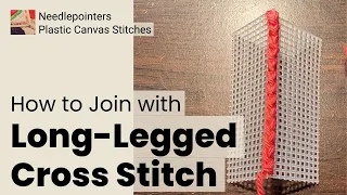 Long Legged Cross Stitch - Plastic Canvas Stitch