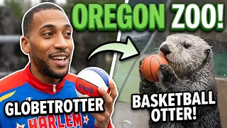 Globe-OTTER vs GLOBETROTTER! 🦦🏀 Cutest Dunk Contest EVER!