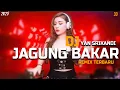 Download Lagu DJ JAGUNG BAKAR - YAN SRIKANDI TERBARU!