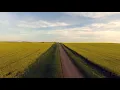 Download Lagu Fools Garden - Lemon Tree No Copyright