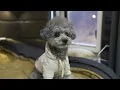 $100,000 LUXURY 3-ROOM MOTORHOME CAMPING IN THE RAIN