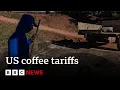Download Lagu US imports of Brazilian coffee face 50% tariff | BBC News