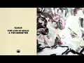 Iceage - For Love of Grace & the Hereafter (Full Album Stream)