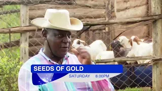 NTV Uganda Livestream
