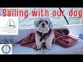Learning to sail our Catalina 22