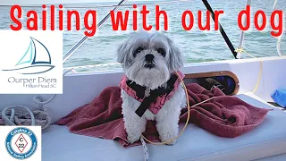 Learning to sail our Catalina 22