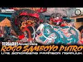 Download Lagu Perang Celeng [ROGO SAMBOYO PUTRO] Live Nyadran Sonoageng Prambon - Nganjuk