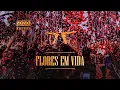 Download Lagu Zezé Di Camargo - Flores Em Vida | Rústico Ao Vivo (Videoclipe Oficial)