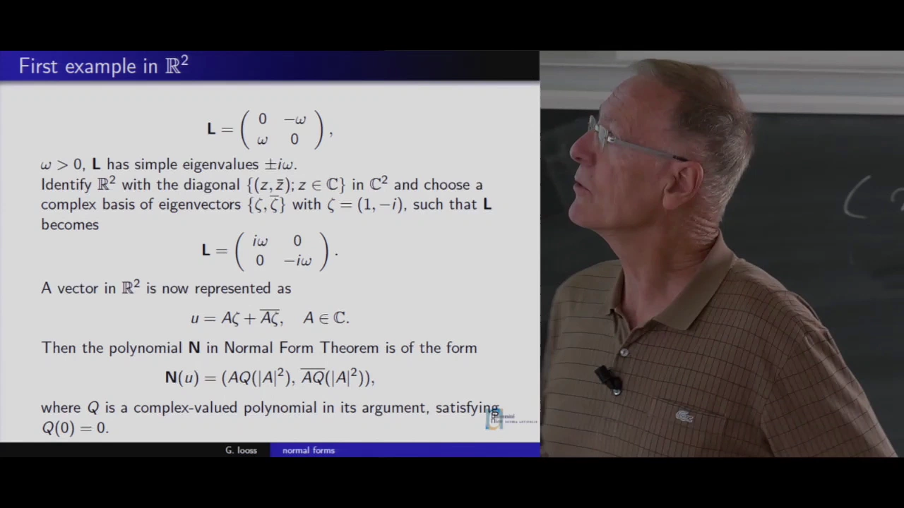 Application des formes normales aux bifurcations | 17/05/2016 | Gérard Ioos