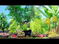 Download Lagu Harvest Fruits: Ambarella, Mangoes, Bananas, Red Papayas To Sell At The Market, Cooking, Gardening