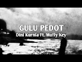 Download Lagu Gulu Pedot - Dini Kurnia Ft. Mufly Key [avlirik12]
