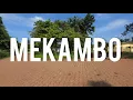 Lagu Gabon 🇬🇦: Mekambo, il y a quoi là dedans ? Découvertes + mission d’identification 