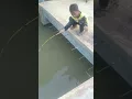 Download Lagu Bocil Mancing ikan mas besar....