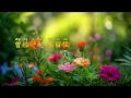 我代你哭  - 鄭中基 Ronald Cheng - 我代你哭 [高音質版]（雙語字幕· 動態歌詞·lyric）Cantonese KTV Old Songs