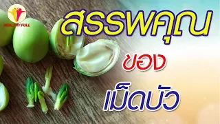 เม็ดบัวสดมีสรรพคุณทางยาอะไรบ้าง  และทำไมต้องเป็นเม็ดบัวสดเท่านั้นจึงจะช่วยบำรุงเลือดได้