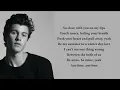 Shawn Mendes - Fallin' All In You (lyrics)