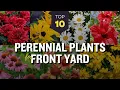10 Best Perennial Plants for Front Yard Garden Beautiful Flowers