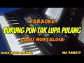 Download Lagu BURUNG PUN TAK LUPA PULANG (INGAT SANGKAR ANAK ISTRI) - KARAOKE || NIA DANIATY || NADA WANITA