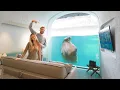 Download Lagu SLAPEN IN PAIRI DAIZA! BESTE DIERENPARK VAN EUROPA!