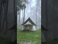 Download Lagu Brewing Hot Coffee while Heavy Rain! Solo camping in heavy rain #shorts #heavyraincamping