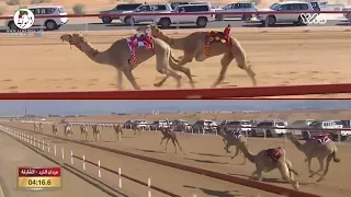 الشوط 2 بندقية مخباط لـ علي راشد بن مسلم العمري 9 7 7 مهرجان محمد بن زايد 2021 12 28 ايذاع الذيد 