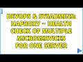 DevOps SysAdmins HAProxy - Health check of multiple microservices for one server 2 Solutions