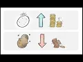 Delivery Provisions - series3 Exam Prep