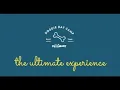 PetSmart Doggie Day Camp The Ultimate Dog Day Care Experience