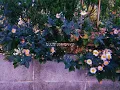 とた - 嘘つき (Short ver.)