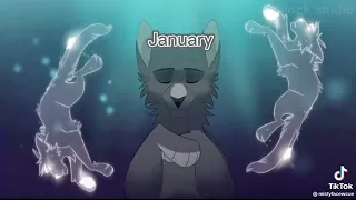 warrior cats tiktok compilation trigger warning 
