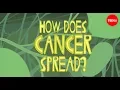 Download Lagu How does cancer spread through the body? - Ivan Seah Yu Jun