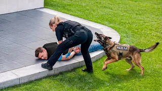 Funniest Police Moments Caught On Camera | Best Of Compilation