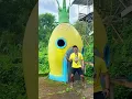 Download Lagu Ketak tertawa spongebob habis #funny #spongeboblucu #comedy #lucu #spongebob #videolucu #ngakak