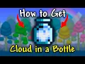 How to Get Cloud in a Bottle in Terraria 1 4 5 Seed