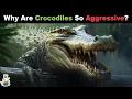 Why Are Crocodiles So Merciless