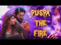 Full Video: PUSHPA PUSHPA ( hindi ) Pushpa 2 The Rule | Allu Arjun | Sukumar |DSP